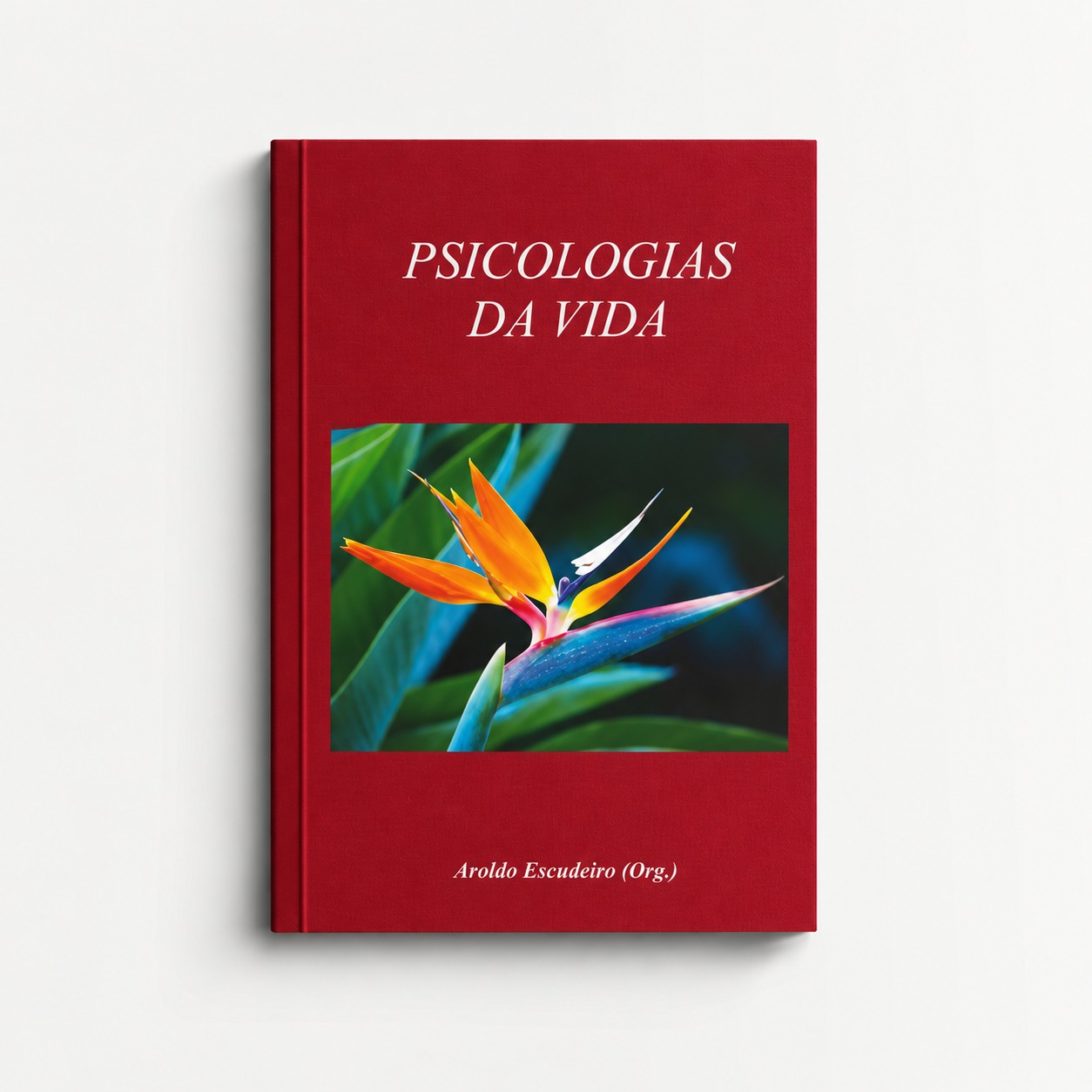 Psicologias da Vida